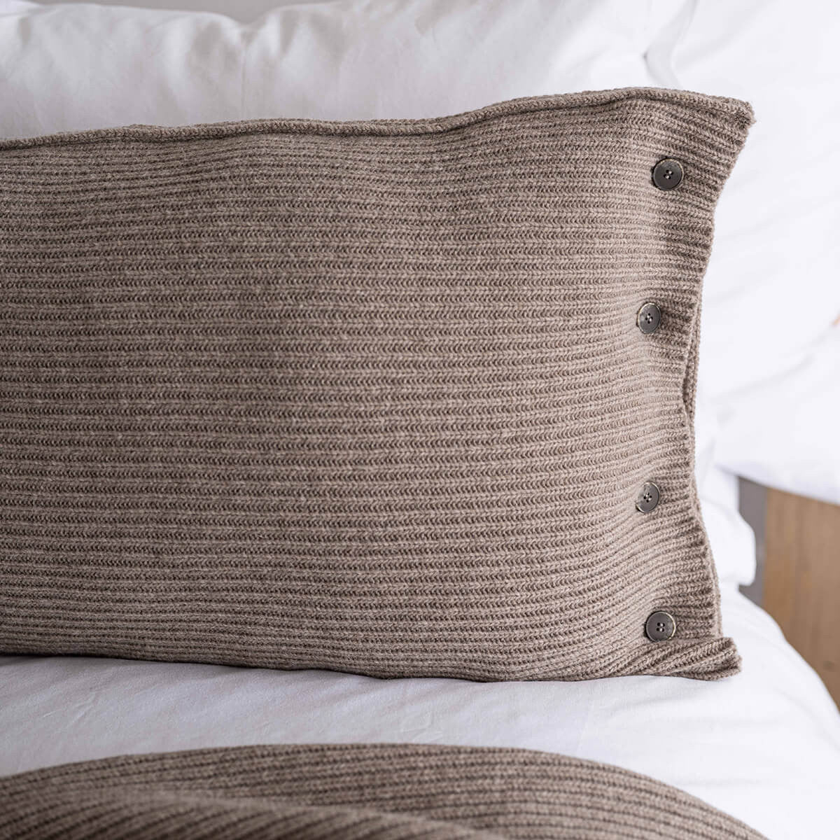 Pagalvės užvalkalas CLASSIC PREMIUM